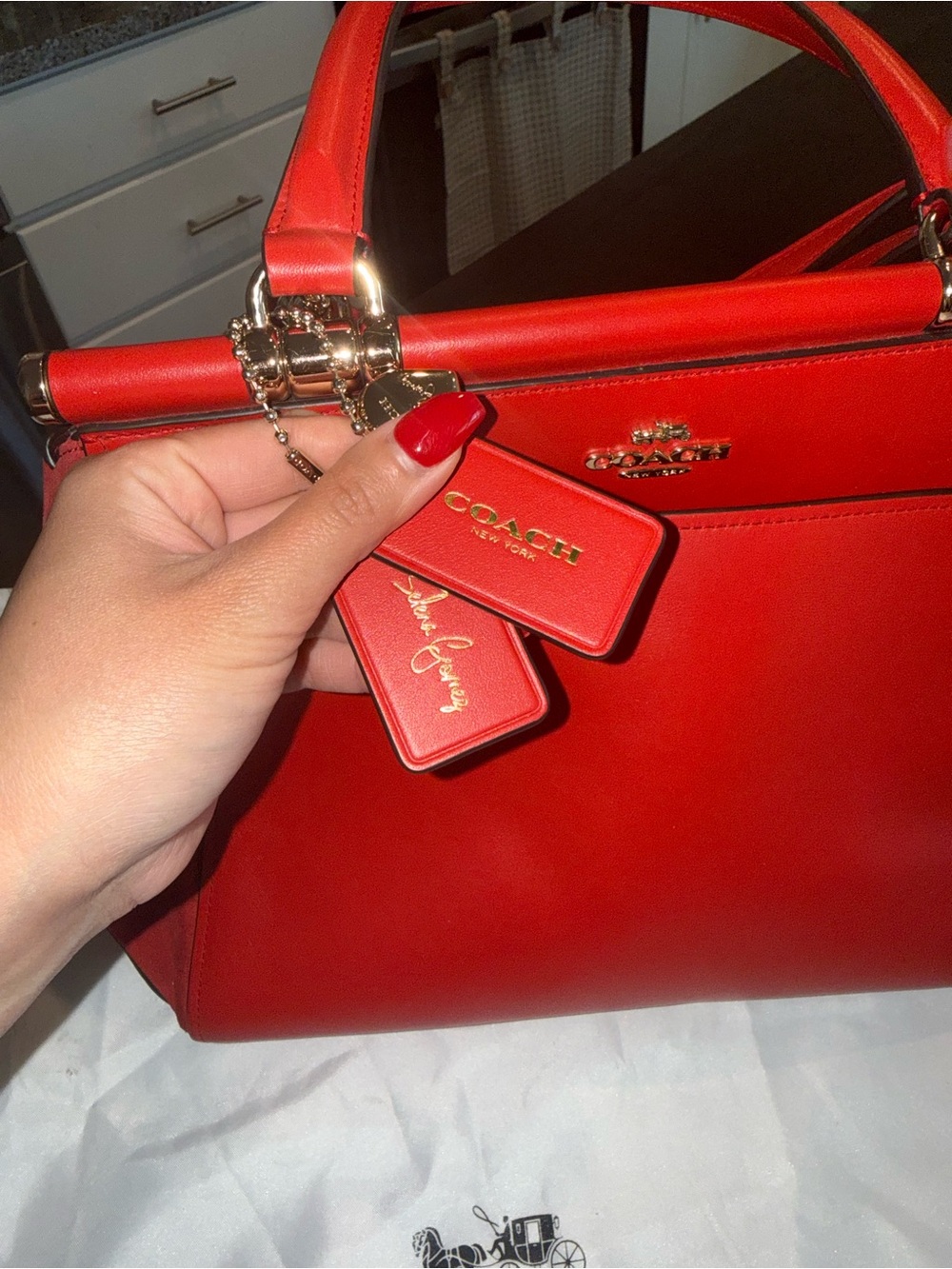 Limited Edition | Selena Gomez x Coach | Coach Grace Bag - Picture 11 of 12